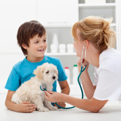 Flea and Tick Protection for Dogs