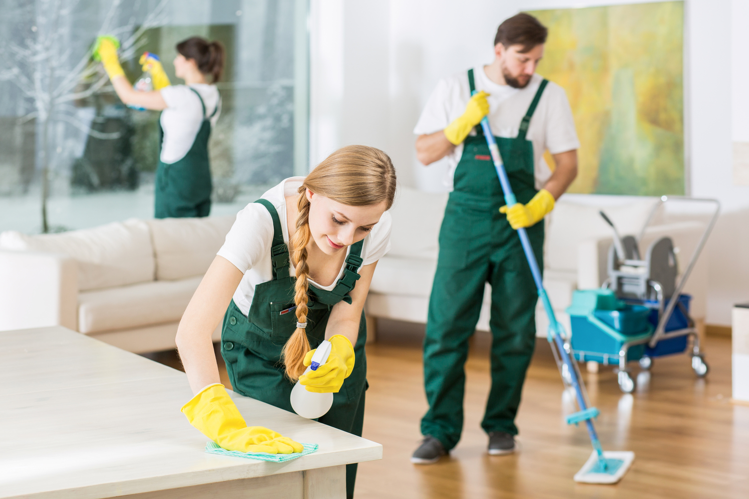 How to Find the Best Professional Cleaning Service