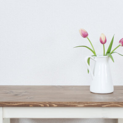 The Most Toxic Houseplants for Cats