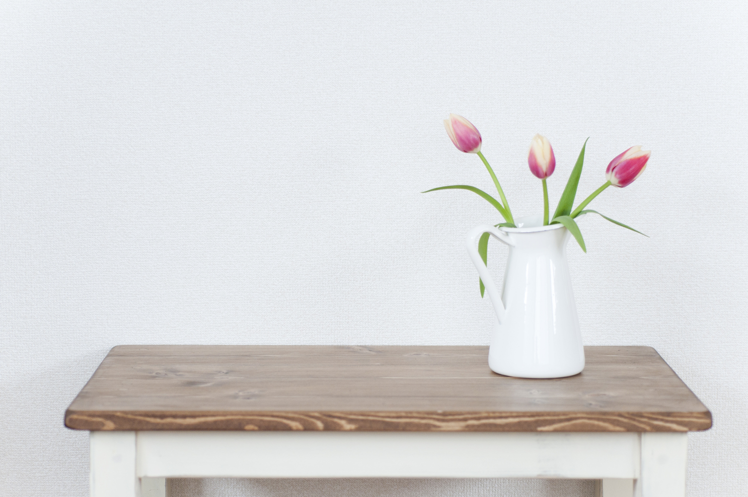 The Most Toxic Houseplants for Cats