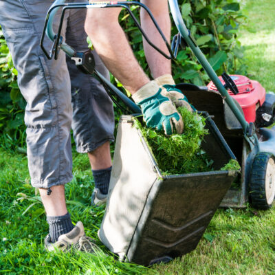 Natural Lawn Care Techniques