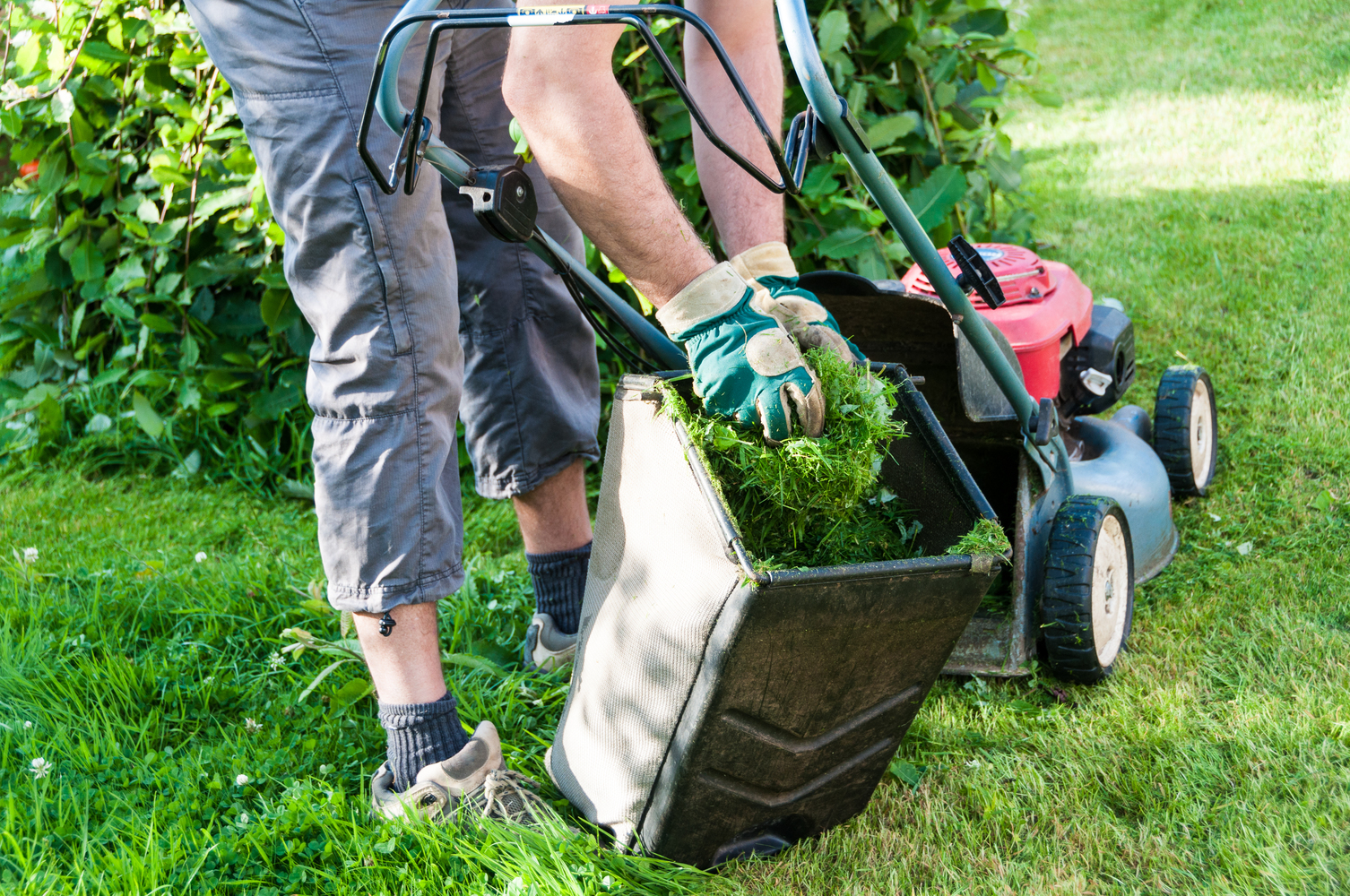 Natural Lawn Care Techniques